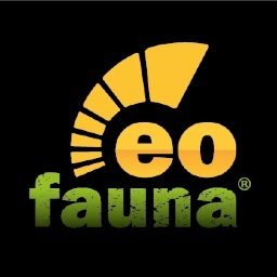 #Eofauna is a team formed by researchers in the field of #paleontology, creatives & specialists principally focused in #prehistoric #fauna