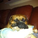 Chris Yarbrough - @csyarbro - Twitter