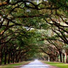 SouthernGuide1's profile picture. A Southern Man's Guide To Life. Wisdom From Books, Songs, and Mama