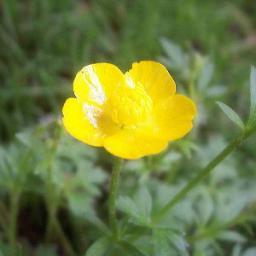 JDakaFelyne's profile picture. Just being me, my tweets are my feelings and concerns and thought's.