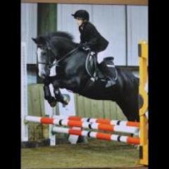 FindAPony's profile picture. PONY AGENTS. Specialising in competition ponies.  We offer the time, training and transport at all levels.  Email us: findapony@hotmail.co.uk