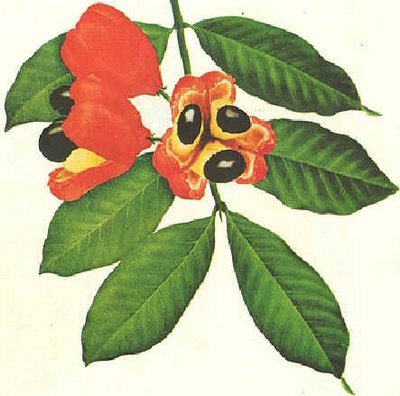 ackeesoup's profile picture. You can't make good soup with dirty water.