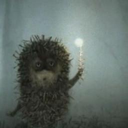 Hedgehog in the Fog