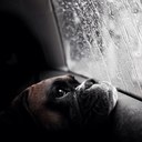 robert buckholz - @robertbuckholz - Twitter