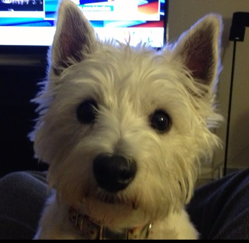 mattbomkamp's profile picture. 