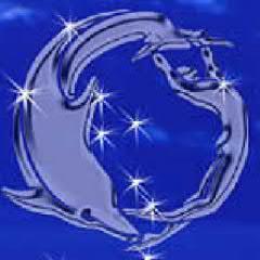 raul6212's profile picture. Fotografo de Sociales con mas de 20 años de experiencia