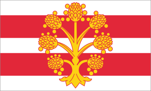 Longbow180's profile picture. Level 1 archery coach and resident of South Lakeland.