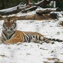 Betsy Cox - @bboscox - Twitter