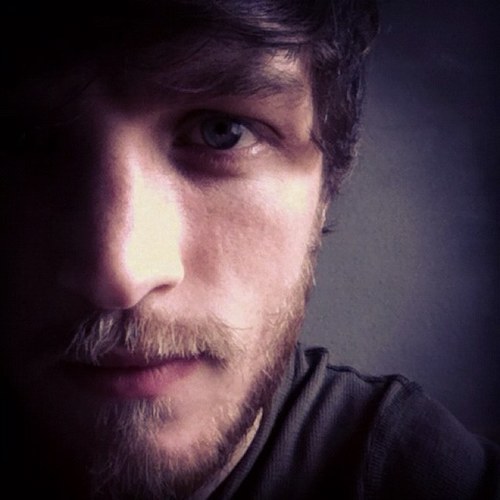 willytbird's profile picture. A is A