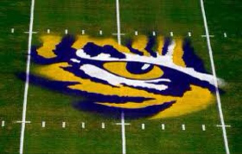 LSU fanatic