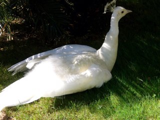 solimanaziz48's profile picture. 