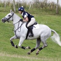 Tally Ho (@tallyhostp) 's Twitter Profile