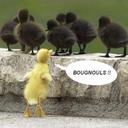 busch lara - @lara_busch - Twitter