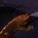 danny hobson - @danny_hob - Twitter