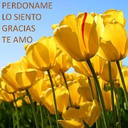 Hooponopono_Mag's profile picture. “El Ho´oponopono es una técnica hawaiana muy antigua de resolución de problemas“. (Morrnah Simeona)