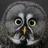 Rt_ge_ce_ci's profile image
