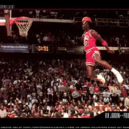 roc2391's profile picture. 