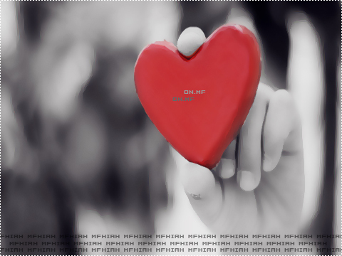 NoOody^-^