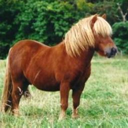 ♥~aocterra~1e~twitterverslaafd~
misoudesgool~haathw~paarden~illegaleradio's~
alcol~engery~12jaar~twitter~lol~sporten~allisha~
feesten~etherpiraten~ho