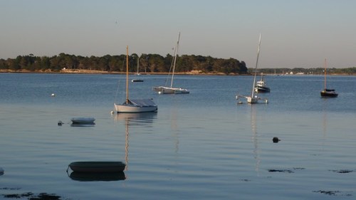 MapouneB's profile picture. 