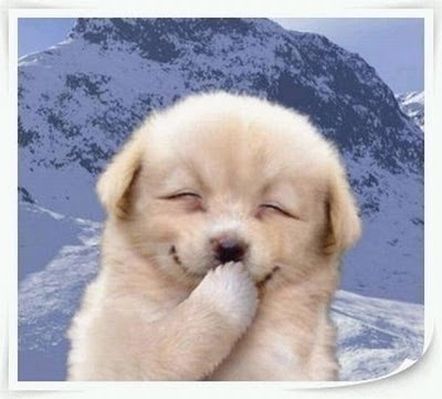 sorria  a vida é bela e curta!!!!!!!!!!