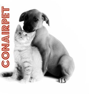 Conairpet is a category leader in pet grooming products providing innovative, high performance grooming tools, clippers, trimmers, and blades.