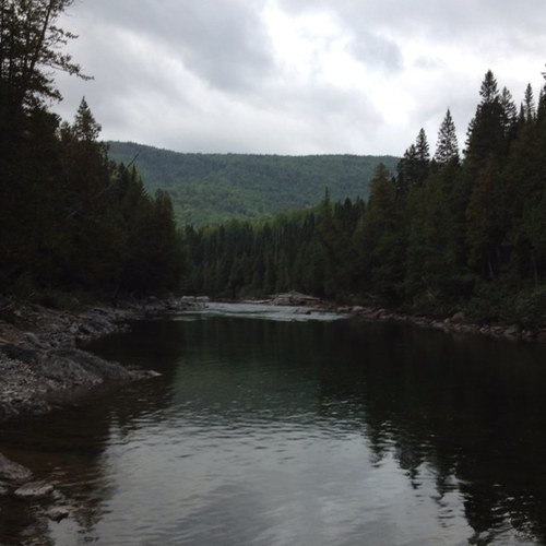 louischarles22's profile picture. 