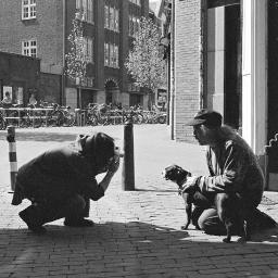 veroLexpat's profile picture. Elsevier Amsterdam