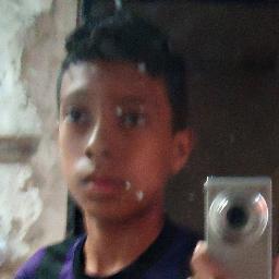 siguo  quem me segue