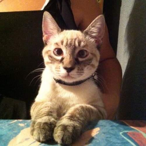 mimg72's profile picture. 