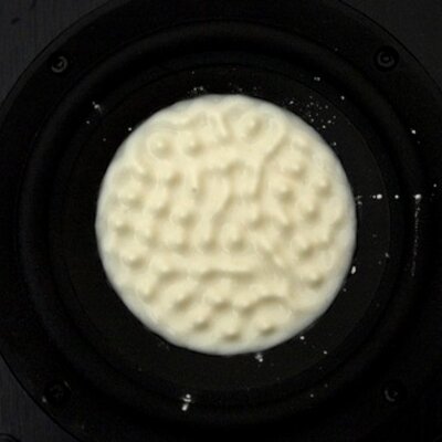Profile Picture of Joshua Y'Barbo (@YBarboJoshua) on Twitter