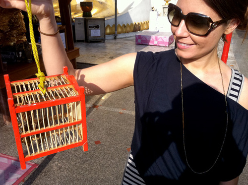 doing things. making stuff. collecting junk. no biggie.