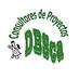 Consultores Dbsca (@dbs_ca) Twitter profile photo