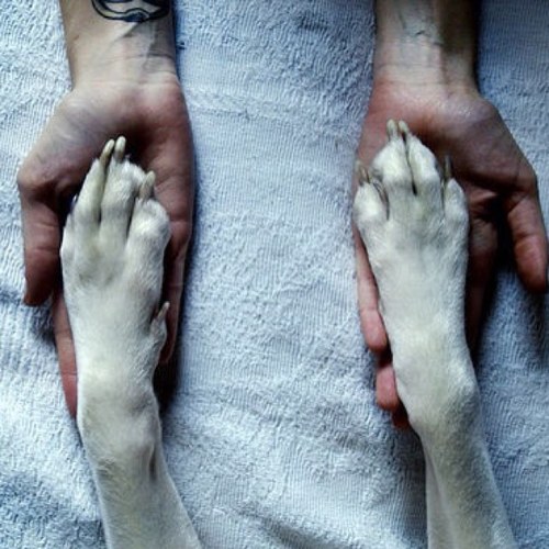 Mikey_Soud's profile picture. If you want to be trusted, be honest .. !