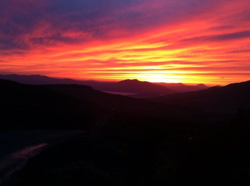 tomepowell's profile picture. 