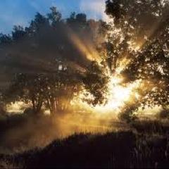 holistic healing discussion show on http://t.co/aeKJsfbj, chats about all things holistic to bring balance to your life