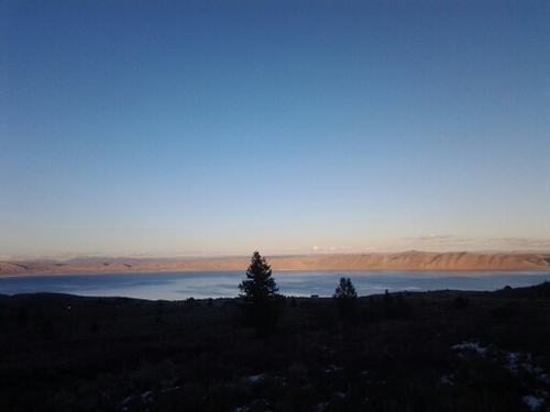 simwad007's profile picture. 