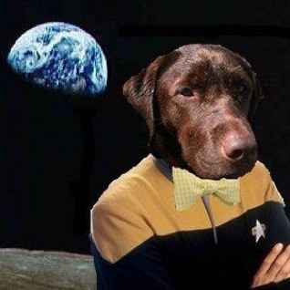 tobylab's profile picture. mostly eating, sleeping or listening to italian opera