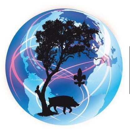 PabeiSystem's profile picture. Sistema de facturación electrónica Fácil, sencillo y seguro!