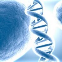 Bioinformatics (@bioinformatic) 's Twitter Profile