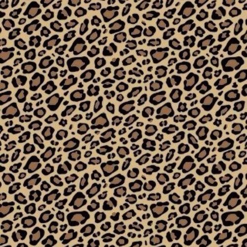 meganswittser's profile picture. 