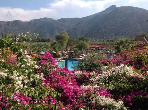 Unique boutique hotel in Dalyan, Turkey. Onsite organic farm. Healthy food. Outdoor fitness center. Mindfulness workshops. Traditional decor.