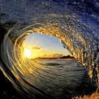SurferProblems (@surferproblems1) 's Twitter Profile