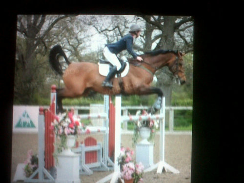 holly_sharp99's profile picture. 