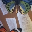 lucas hammond - @lucashammond - Twitter