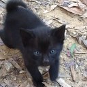 Abbey Ross - @AWESOME__Abbey - Twitter