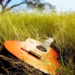 TCsuperfest's profile picture. THIS IS NOT A REAL FESTIVAL UNIVERSITY CLASS PROJECT! PLEASE IGNORE ALL TWEETS!