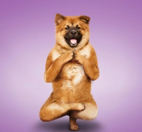 Ahnjs0070's profile picture. Happy Happy Day ^^