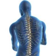 Providing common-sense advice about spinal health.