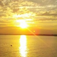 macfinn (@macfinn) 's Twitter Profile